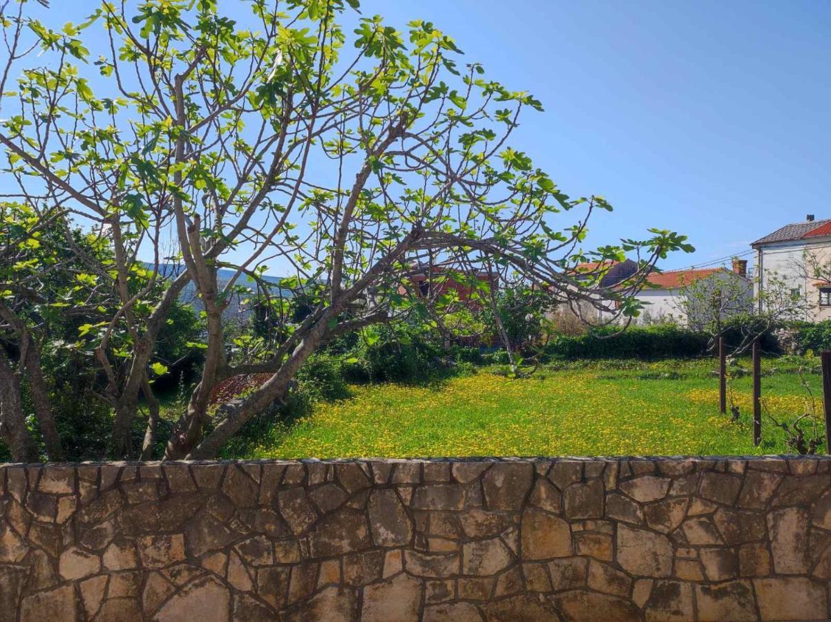 Apartment Rose كرك المظهر الخارجي الصورة